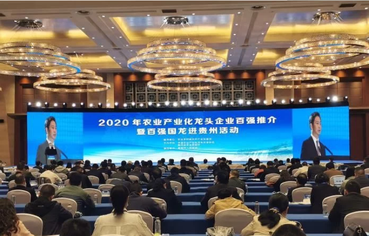 2020年農業(yè)產(chǎn)業(yè)化龍頭企業(yè)百強名單發(fā)布協(xié)會(huì )副會(huì )長(cháng)單位伊利集團、蒙牛乳業(yè)等多家企業(yè)榜上有名！