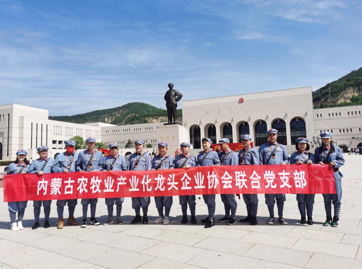 內蒙古農牧業(yè)產(chǎn)業(yè)化龍頭企業(yè)協(xié)會(huì )聯(lián)合黨支部赴延安革命圣地開(kāi)展“學(xué)黨史、感黨恩、跟黨走”主題黨日活動(dòng)